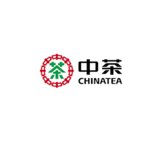 Untitled design - 2025-10-17T131629.857